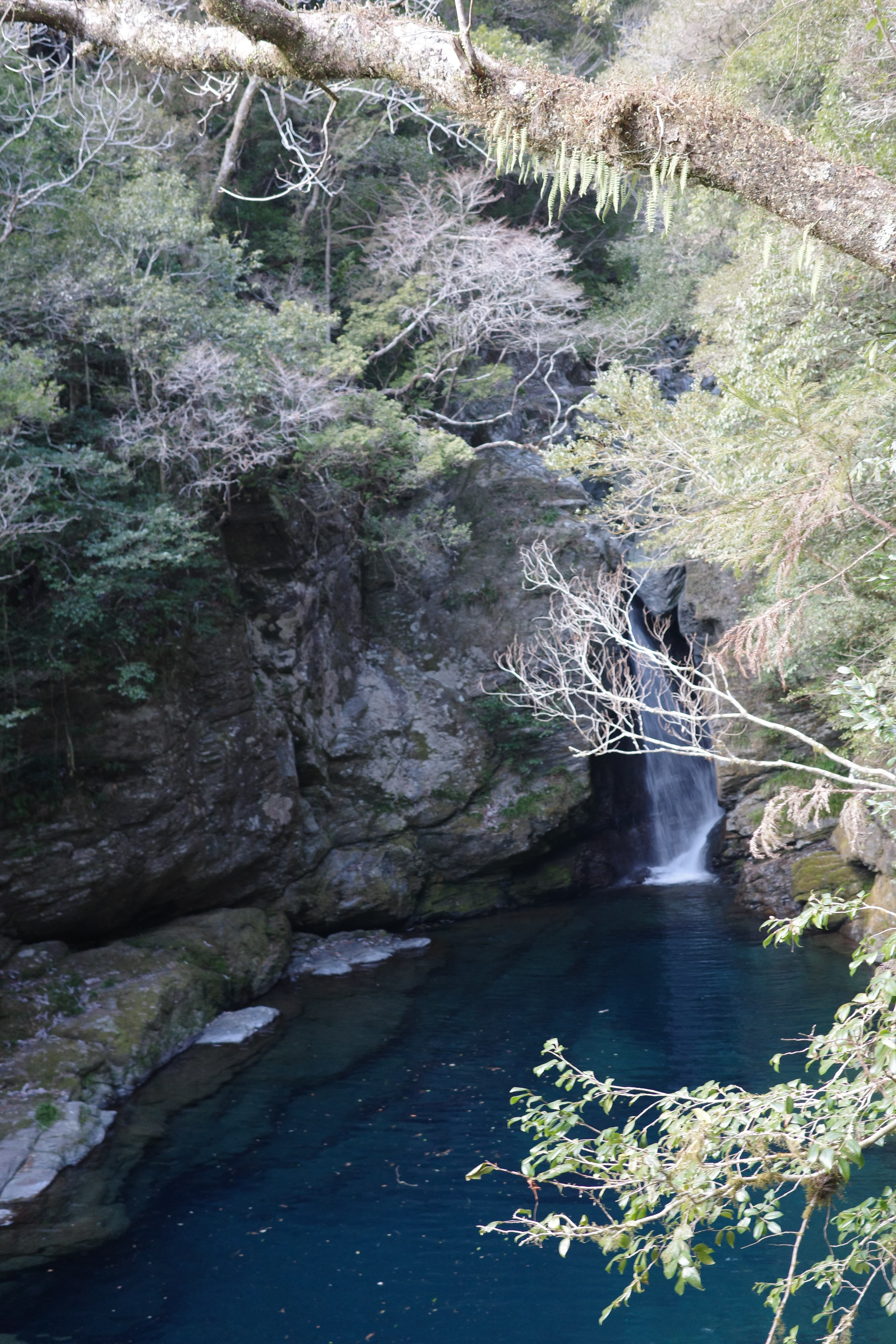 高知觀光推薦3選|四國必去仁淀藍秘境・鰹魚タタキ・ひろめ市場🌊