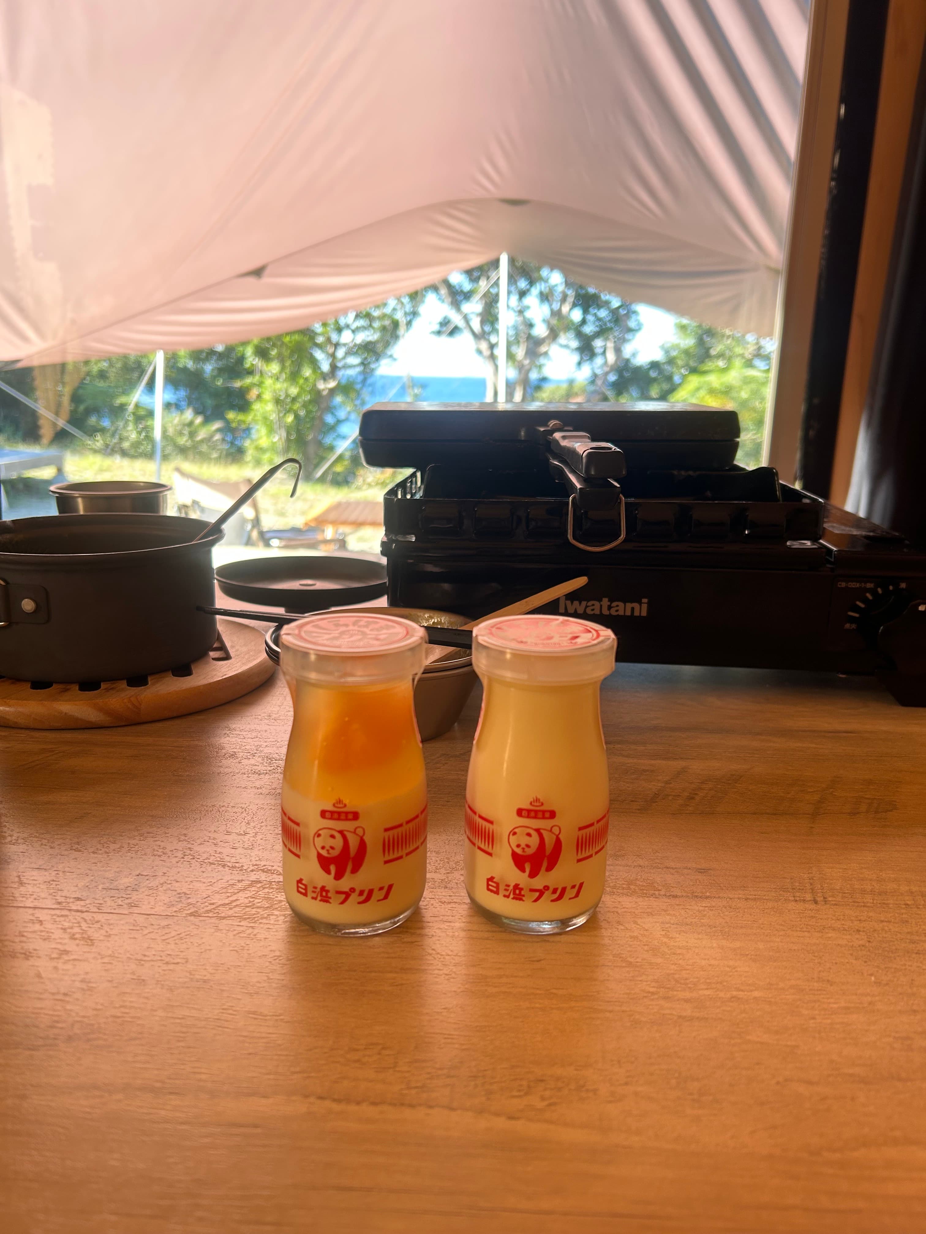 和歌山白浜景點推薦4選|熊貓・海邊露營・海景咖啡・海鮮BBQ🐼🌊